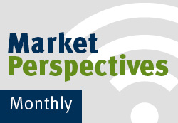 Monthly Market Perspectives